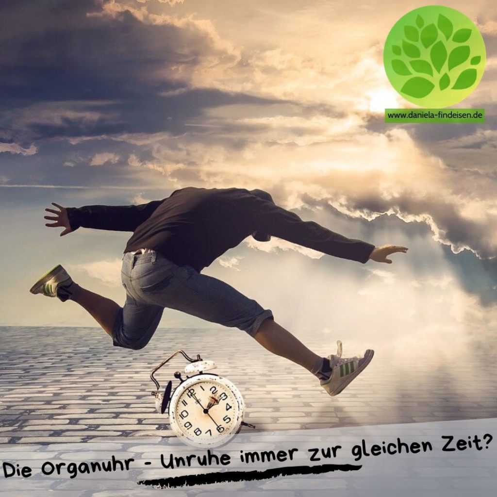 Die Organuhr - Unruhe, immer zur gleichen Zeit? 1 Organuhr - Unruhe zur gleichen Zeit