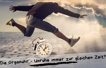 Organuhr - Unruhe zur gleichen Zeit-beitrag